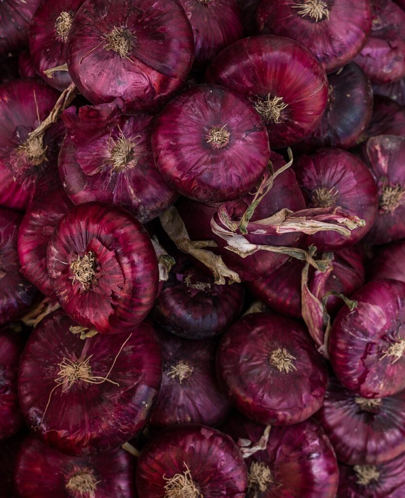 onion, red onion, crimean onion, vegetables, market, food, products, nutrition, view from above, onion, onion, onion, onion, onion, red onion, red onion, red onion